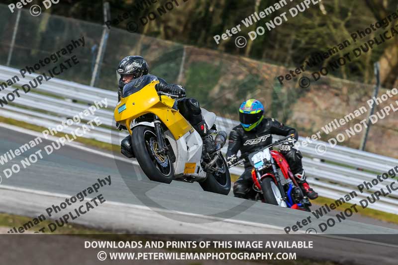 Oulton Park 21st March 2020;PJ Motorsport Photography 2020;anglesey;brands hatch;cadwell park;croft;donington park;enduro digital images;event digital images;eventdigitalimages;mallory;no limits;oulton park;peter wileman photography;racing digital images;silverstone;snetterton;trackday digital images;trackday photos;vmcc banbury run;welsh 2 day enduro